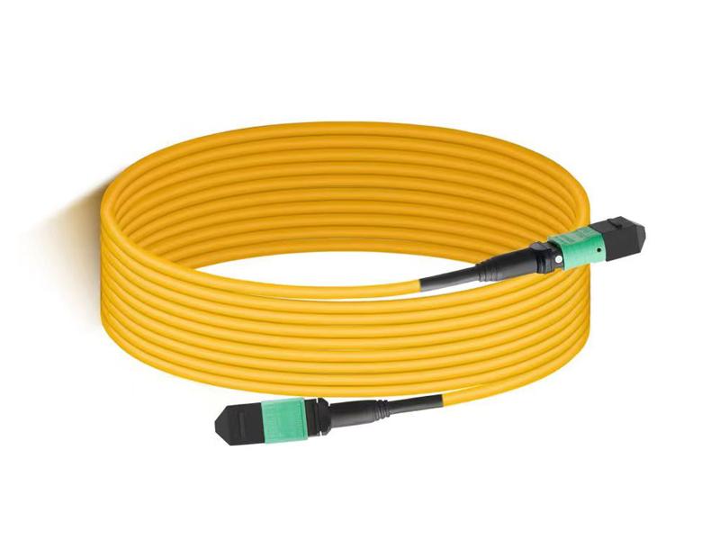 24 Fiber Singlemode MPO to MPO MTP Fiber Optic Patch Cord
